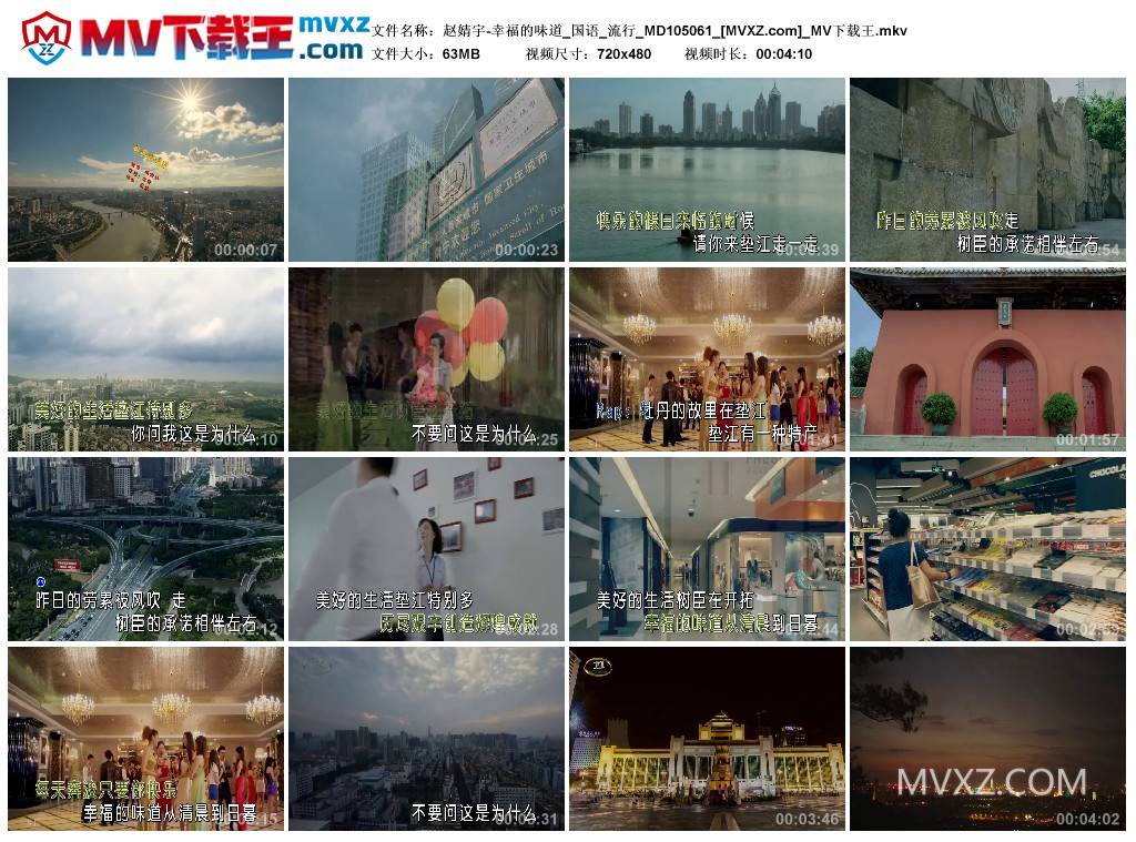 赵婧宇-幸福的味道_国语_流行_MD105061